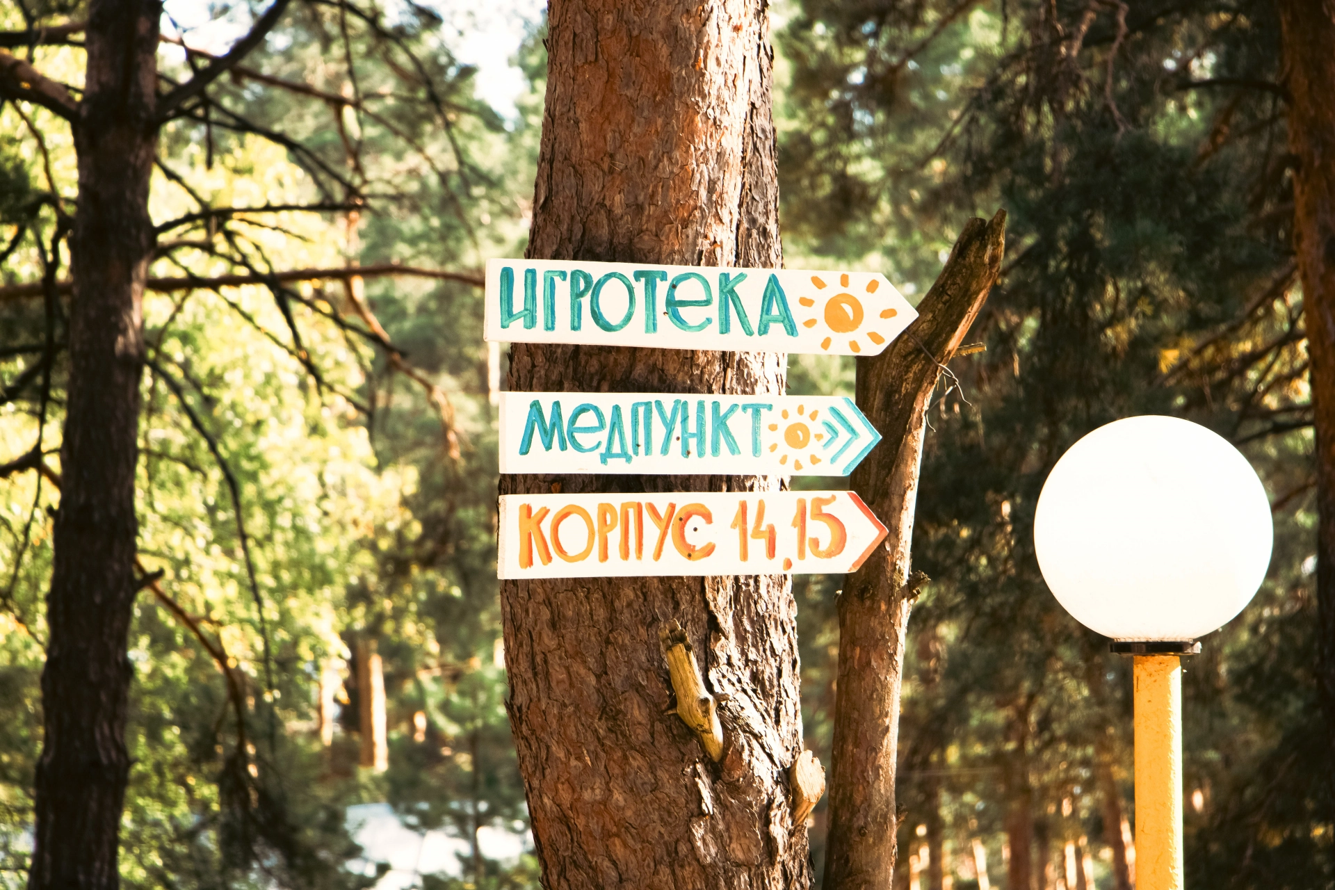 Изображение для Солнечный, 1 смена, Игры и культуры народов