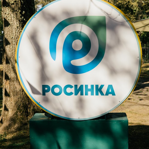 Заявление на заезд в детский лагерь Росинка 1 смена