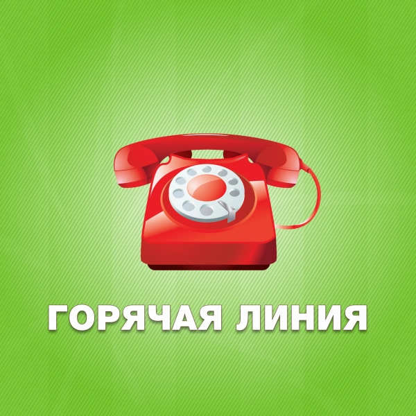 По вопросам детского отдыха, качества и безопасности детских товаров тамбовчане могут обратиться по телефону горячей линии