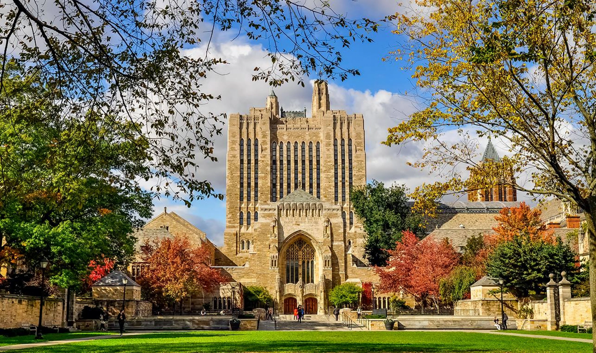 Лучшие лагеря мира: знакомство с престижным университетом на базе Yale University Summer School