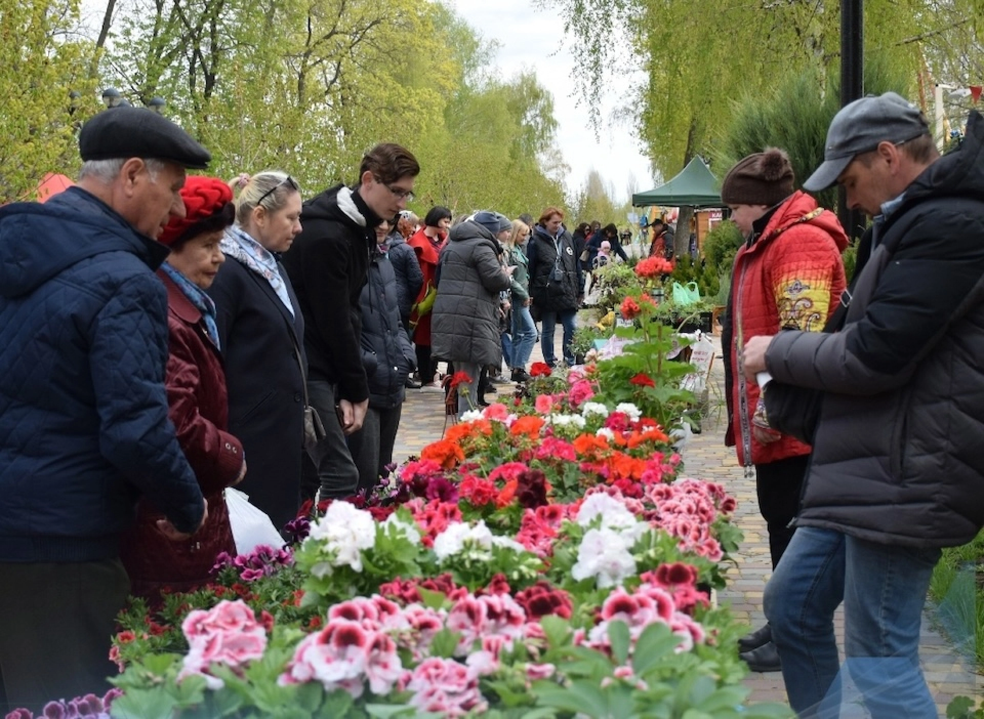 Дайджест выходных: от массовых субботников до открытия сезона в Парке культуры
