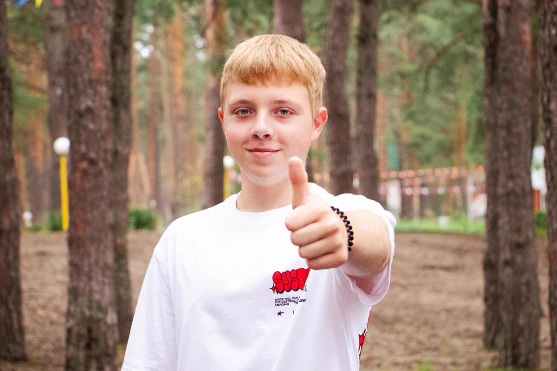 Изображение для Следующее изображение