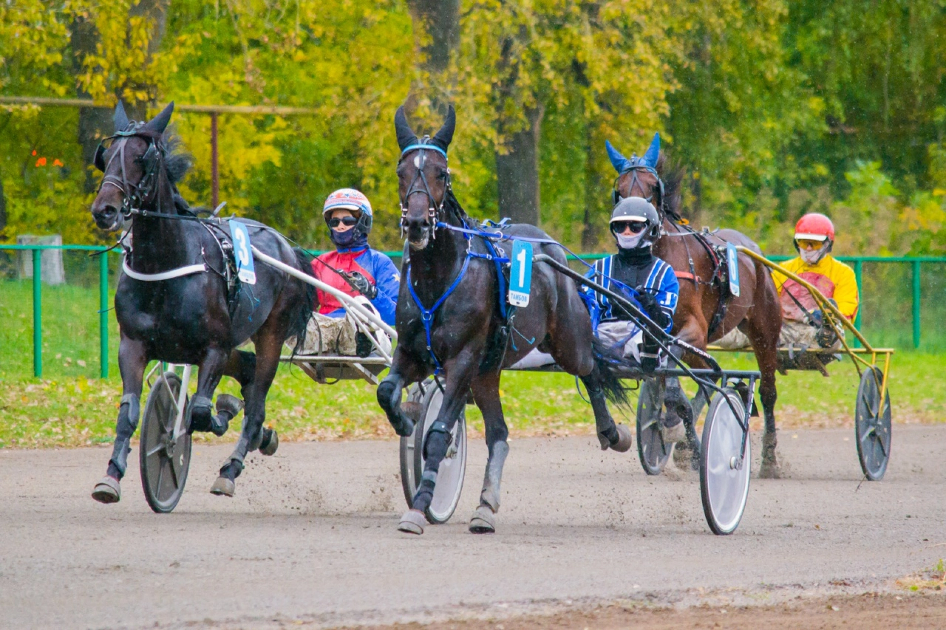 Идеи для досуга на выходных: какие мероприятия можно посетить?