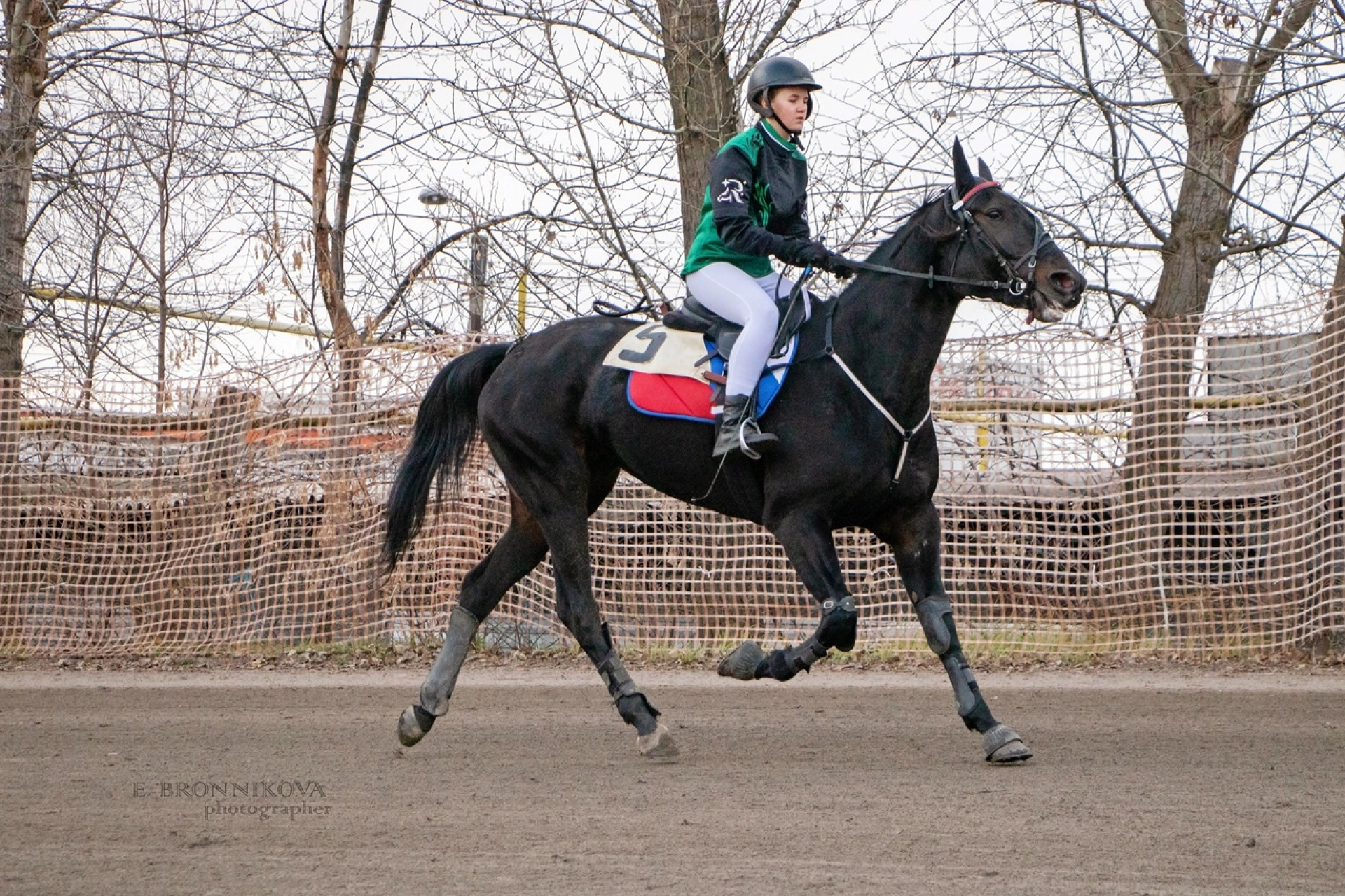 Изображение для Предыдущее изображение