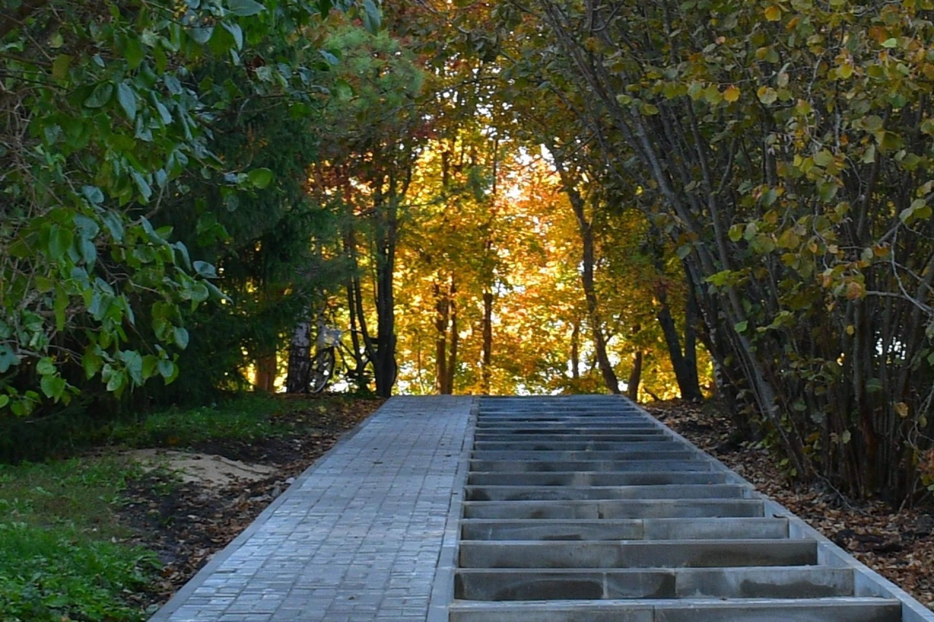 Изображение для Как провести ноябрьские выходные: подборка мероприятий для тамбовчан