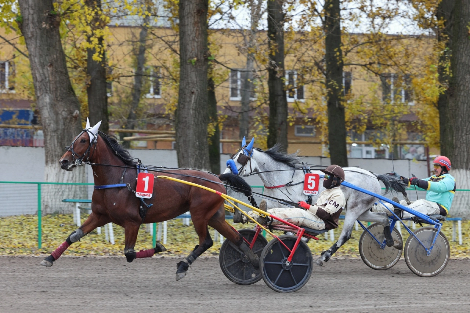 Мероприятия выходных для тамбовчан: бега на ипподроме, спектакли, экскурсии