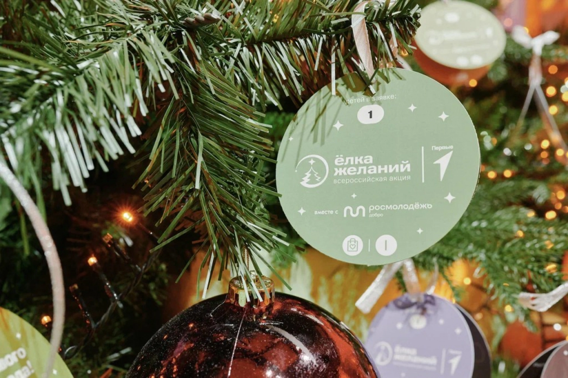Тамбовчан приглашают исполнить мечты детей в акции «Ёлка желаний»