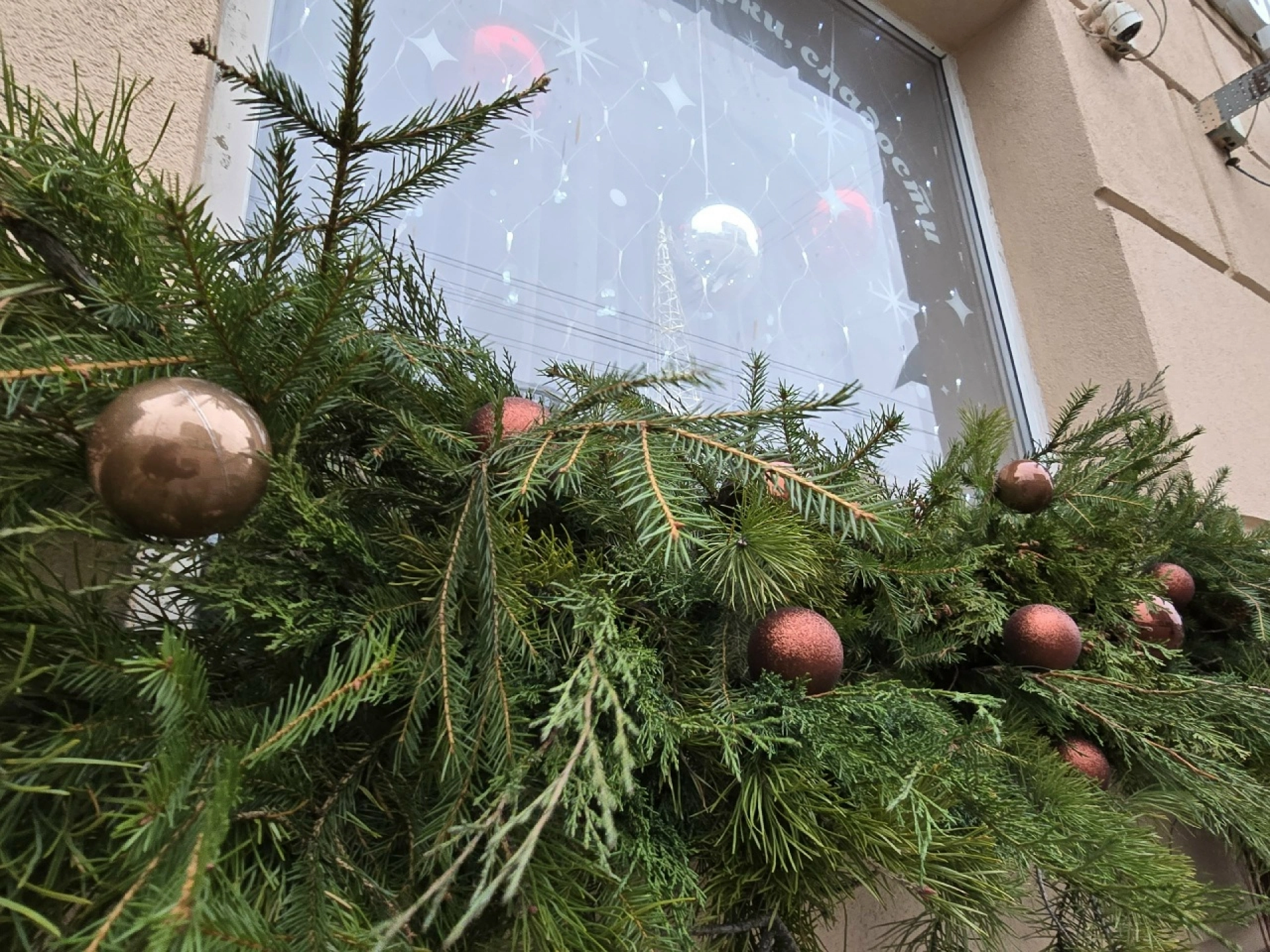 Изображение для Следующее изображение