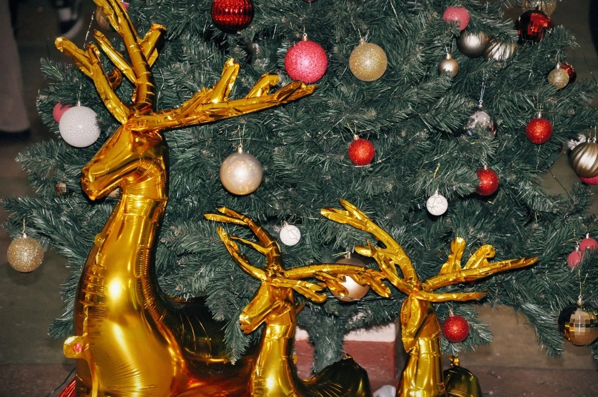 Изображение для Предыдущее изображение