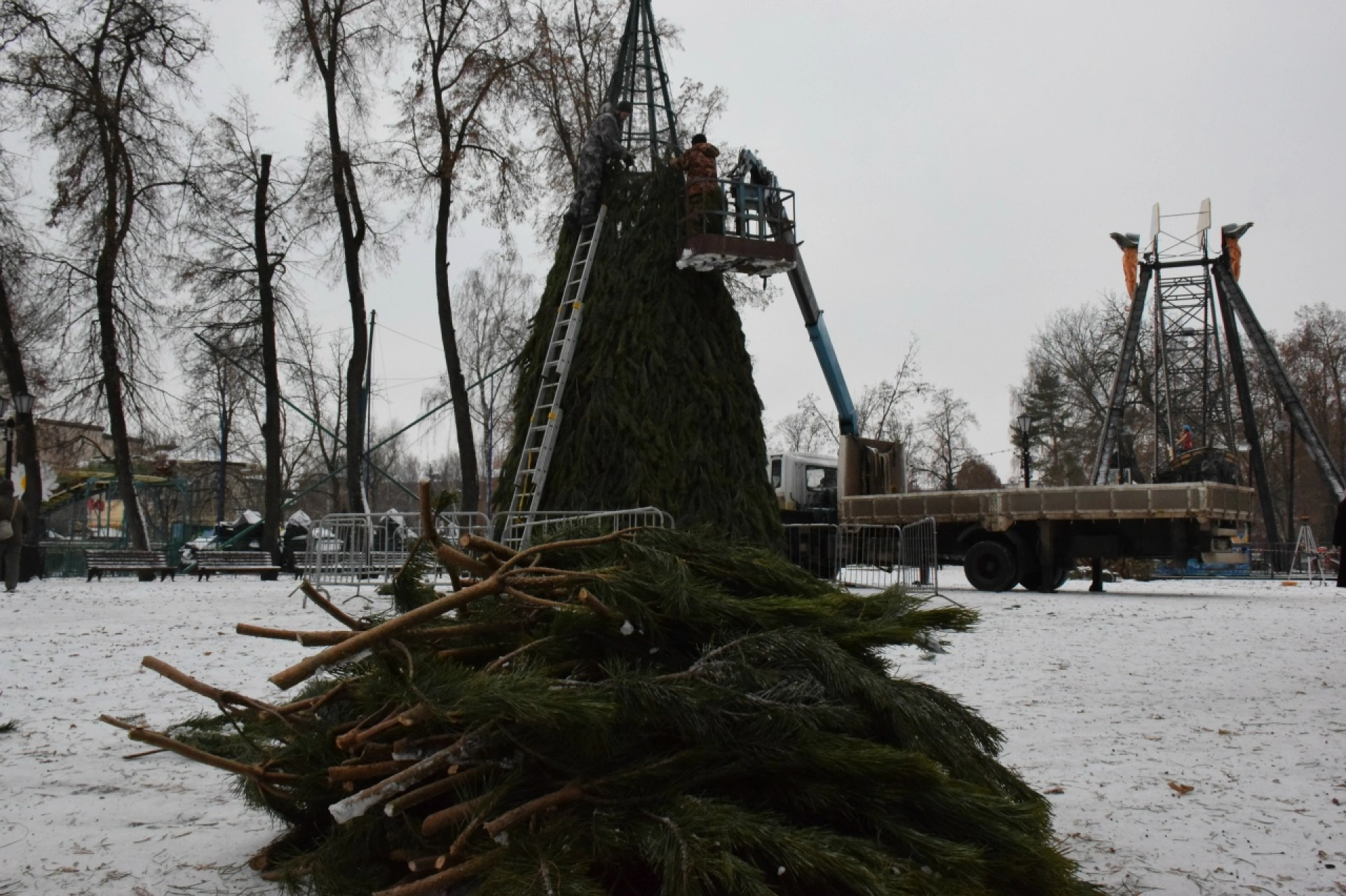 Изображение для В Парке культуры и отдыха впервые установят большую новогоднюю ёлку