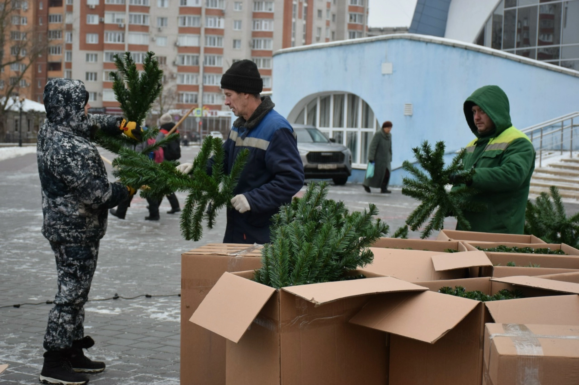 В Тамбове начали устанавливать новогодние ели на главных площадках