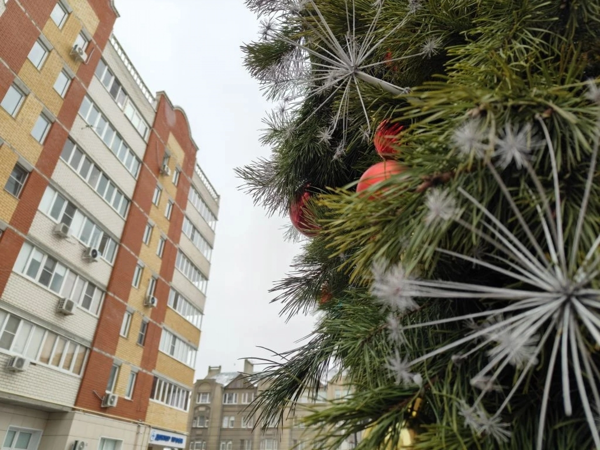 Изображение для Новогодние праздники: какие мероприятия посетить в Тамбове и области?