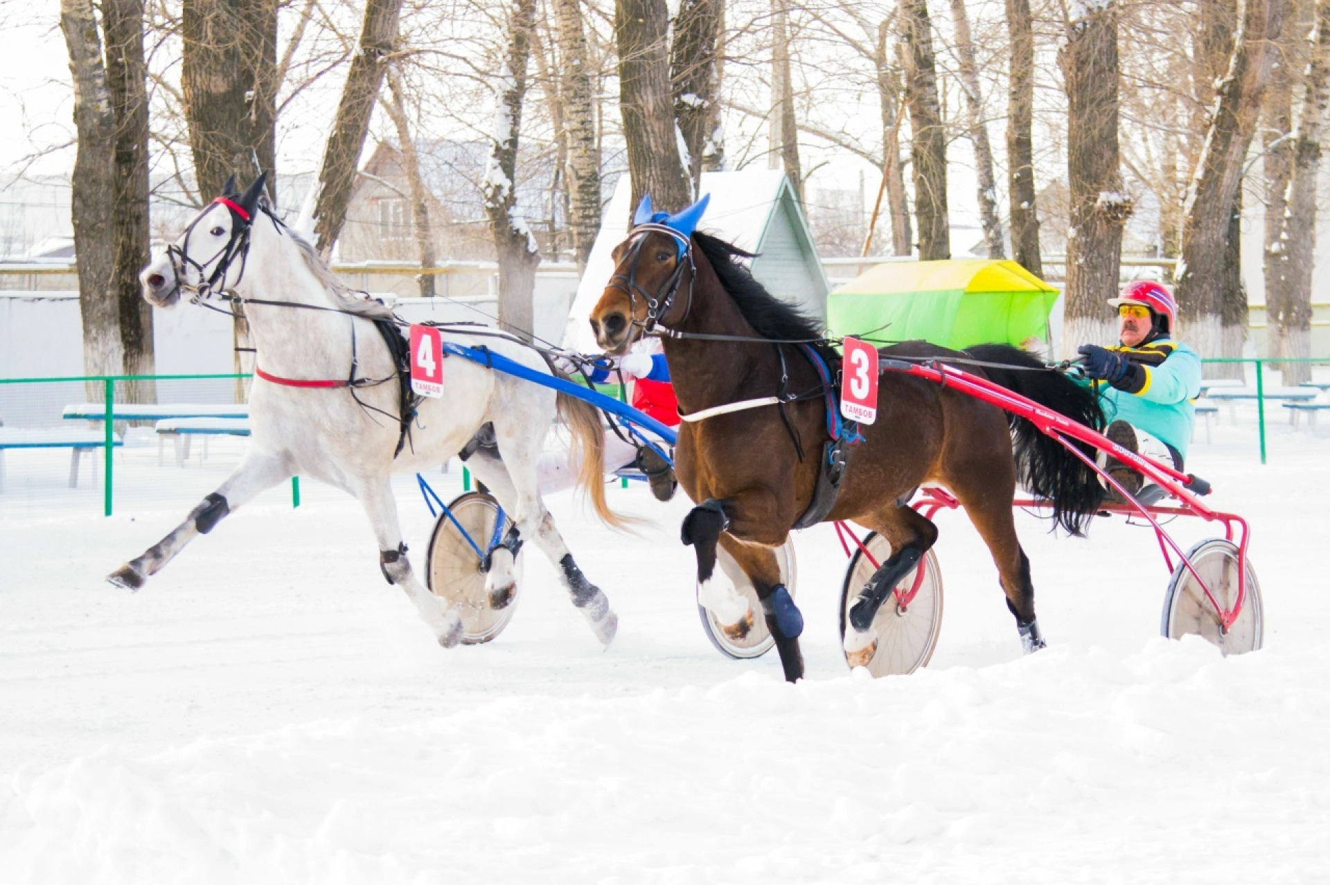 События выходных: делимся идеями досуга для тамбовчан