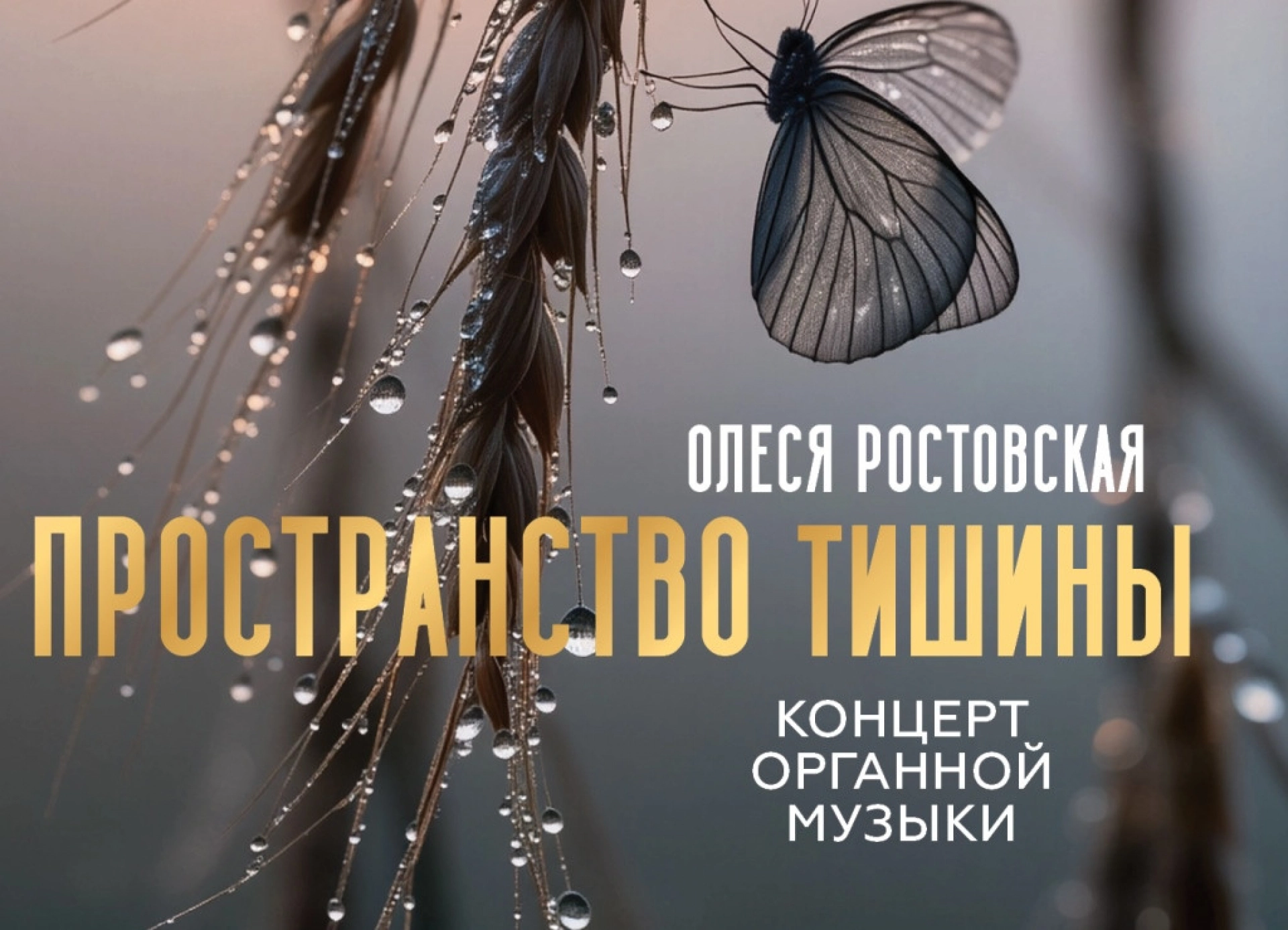 События выходных: куда можно сходить в Тамбове?