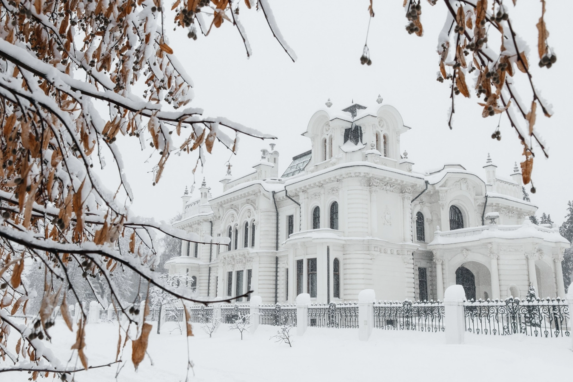 Изображение для Следующее изображение