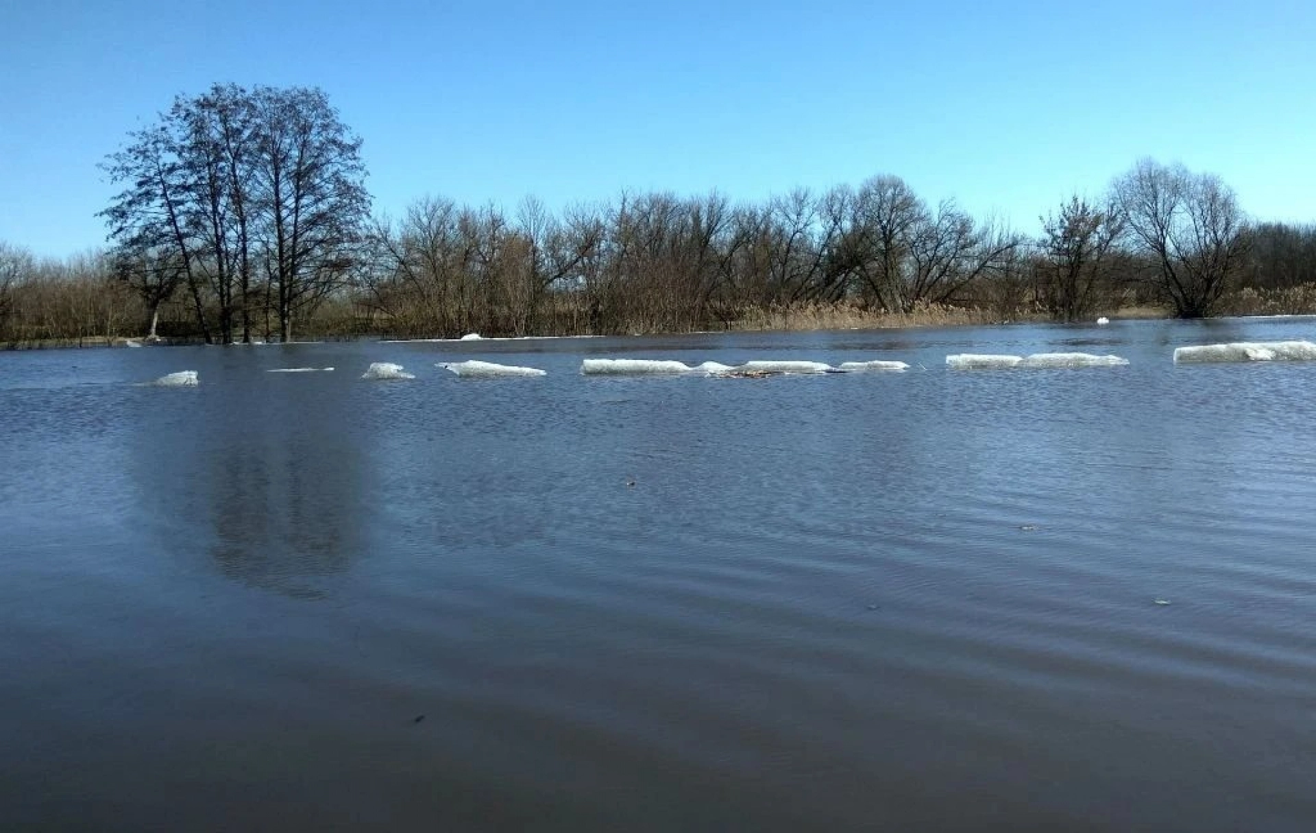 Изображение для В Тамбовской области усилили контроль за безопасностью детей на водоёмах