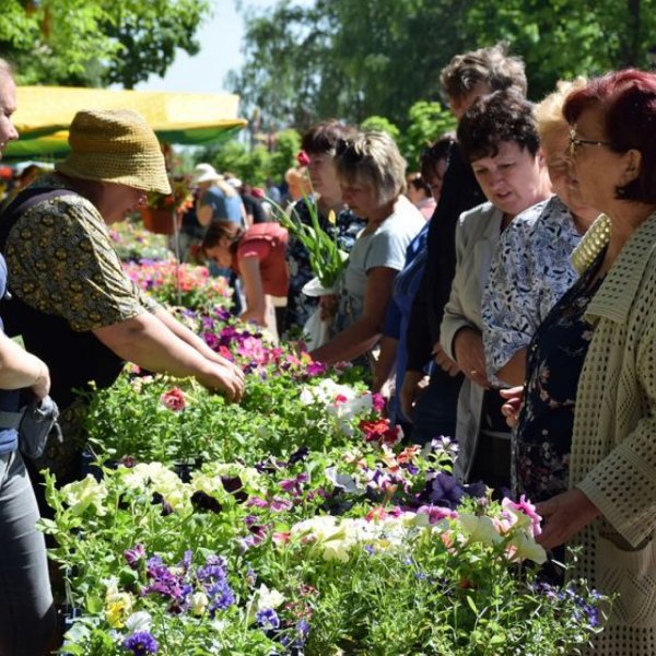 Выставка детского творчества состоится на ежегодном Фестивале цветов