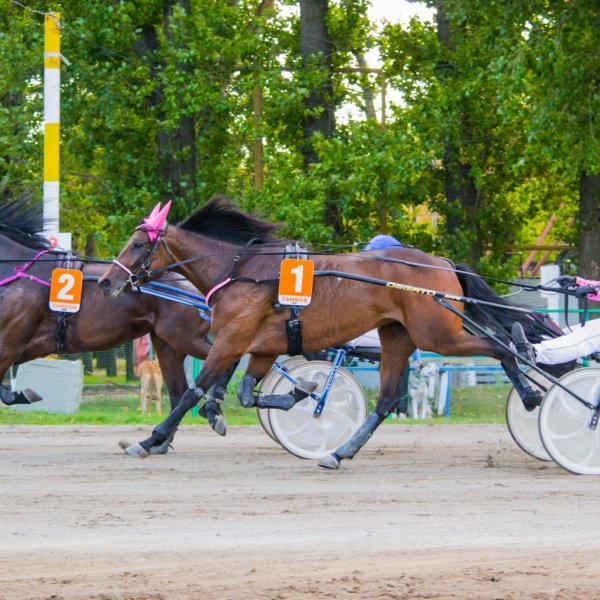 Чем заняться на выходных в Тамбове?