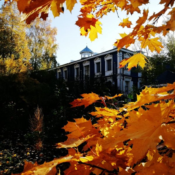 Спорт, культура, творчество: какие мероприятия можно посетить на выходных?