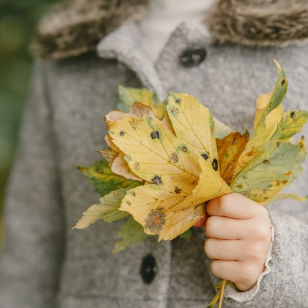 Идеи для осенних каникул: отдых, развлечения и необычные форматы