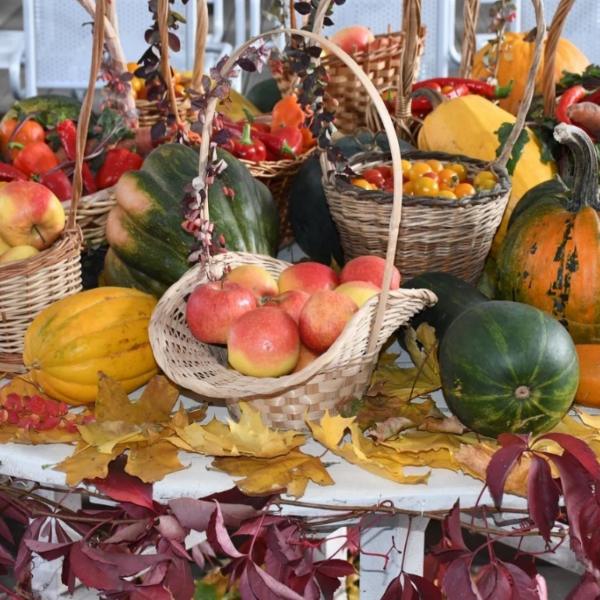 Мероприятия выходных: концерты, праздники, спектакли