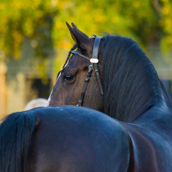 Мероприятия выходных: концерты, праздники, спектакли
