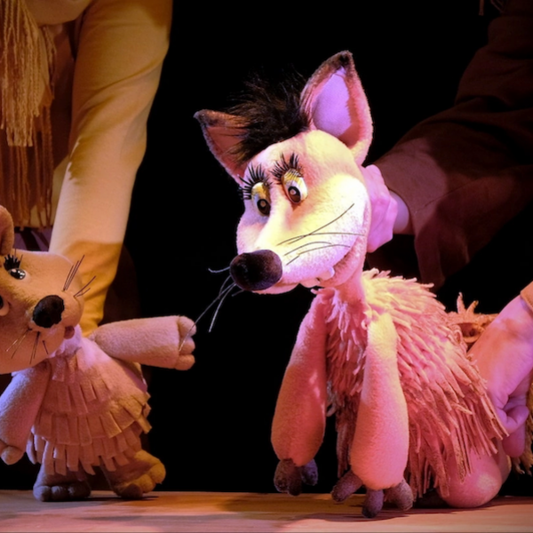 Дайджест мероприятий: что посетить на выходных в Тамбове и области?