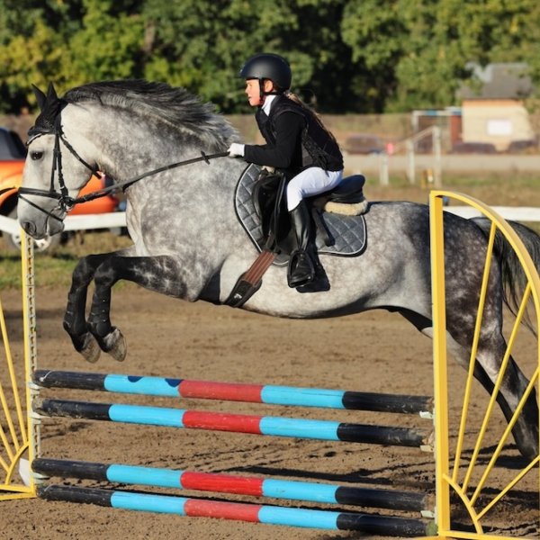 Дайджест мероприятий: что посетить на выходных в Тамбове и области?