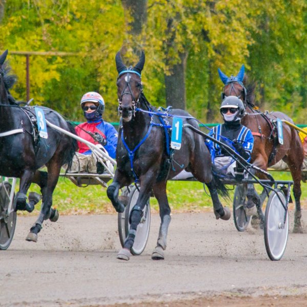 Идеи для досуга на выходных: какие мероприятия можно посетить?