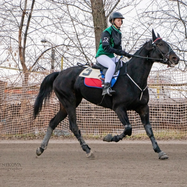 Как провести ноябрьские выходные: подборка мероприятий для тамбовчан