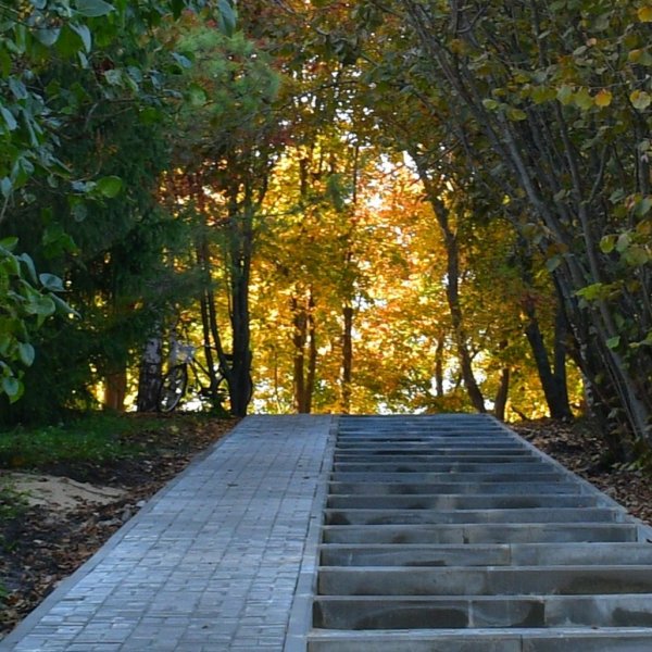 Как провести ноябрьские выходные: подборка мероприятий для тамбовчан