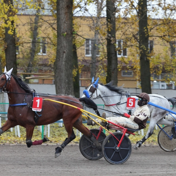 Мероприятия выходных для тамбовчан: бега на ипподроме, спектакли, экскурсии