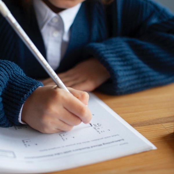 Более шести процентов тамбовских школьников завершили триместр на отлично