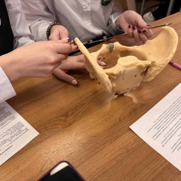 Знакомство с профессиями на практике: как подростки могут найти свой путь