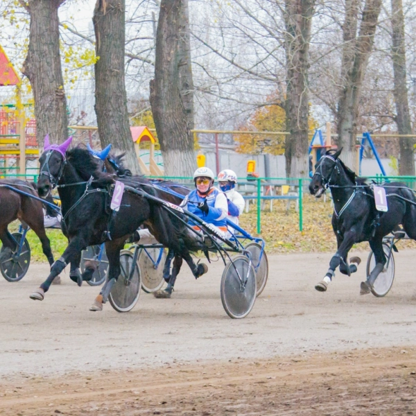 Выходные в Тамбове и области: какие мероприятия можно посетить?