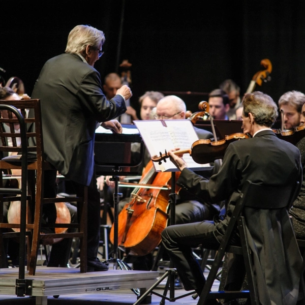 Выходные в Тамбове и области: какие мероприятия можно посетить?