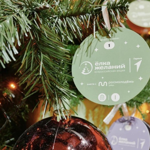 Тамбовчан приглашают исполнить мечты детей в акции &laquo;Ёлка желаний&raquo;