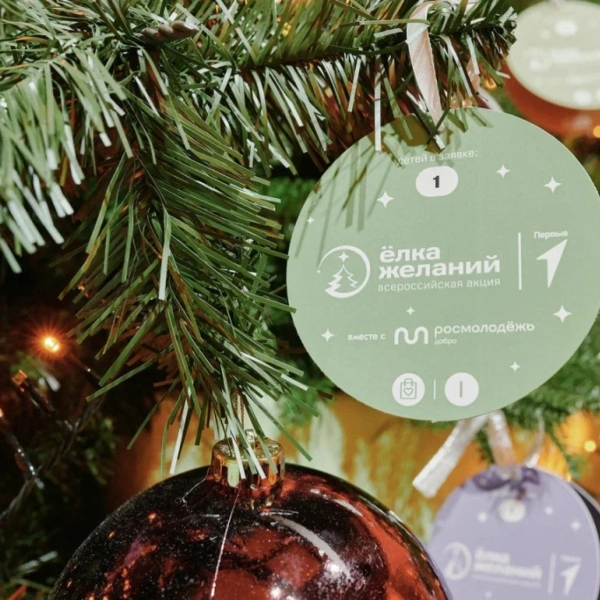 Тамбовчан приглашают исполнить мечты детей в акции «Ёлка желаний»