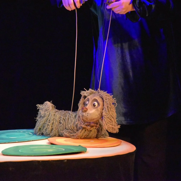 Культура, образование и искусство: какие мероприятия пройдут на выходных? 