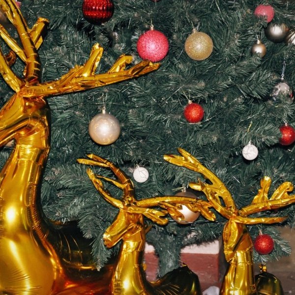 Неравнодушные тамбовчане могут передать новогодние подарки для воспитанников интерната 