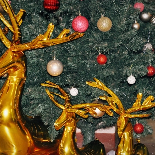 Неравнодушные тамбовчане могут передать новогодние подарки для воспитанников интерната 