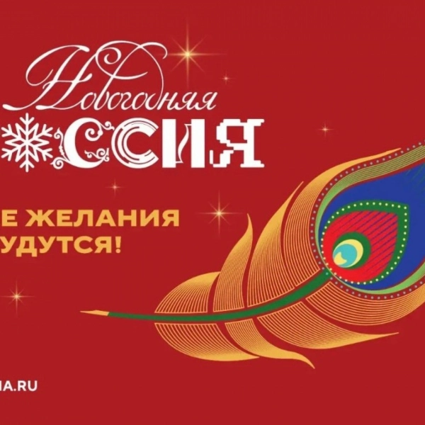 Тамбовчан приглашают украсить город к праздникам в рамках акции &laquo;Новогодняя Россия&raquo;