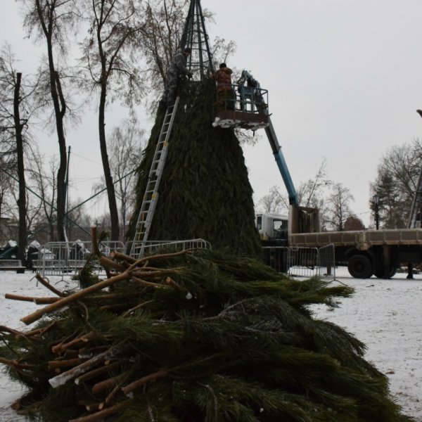 В Парке культуры и отдыха впервые установят большую новогоднюю ёлку