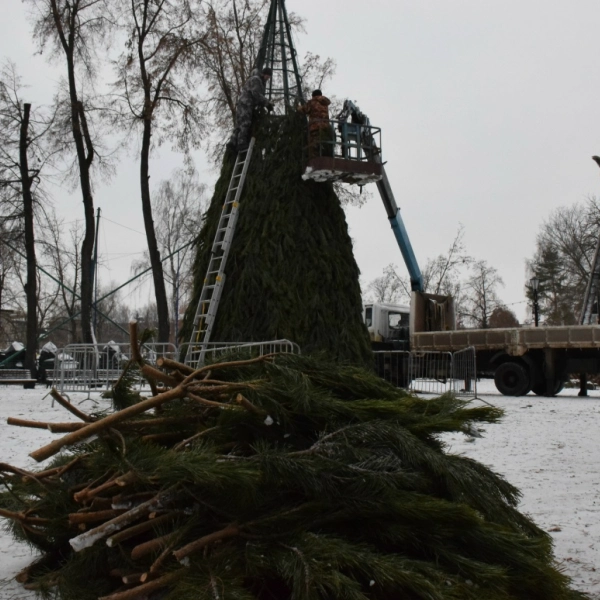 В Парке культуры и отдыха впервые установят большую новогоднюю ёлку