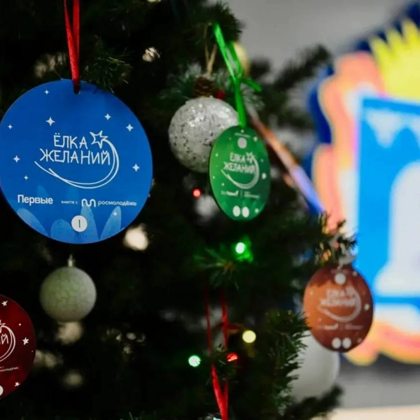 &laquo;Ёлки желаний&raquo; появились в тамбовских организациях и на общественных пространствах