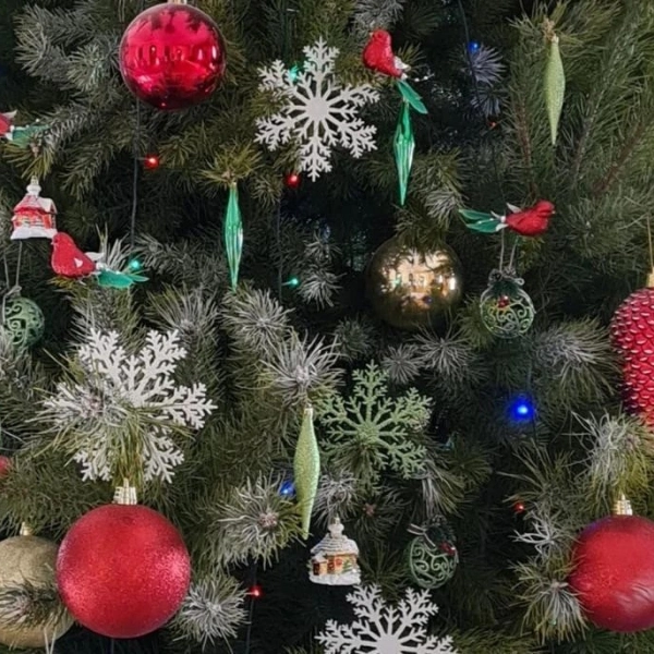 Тамбовские предприниматели передали новогодние подарки детям участников СВО