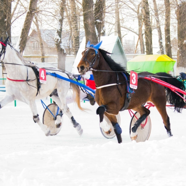 События выходных: делимся идеями досуга для тамбовчан