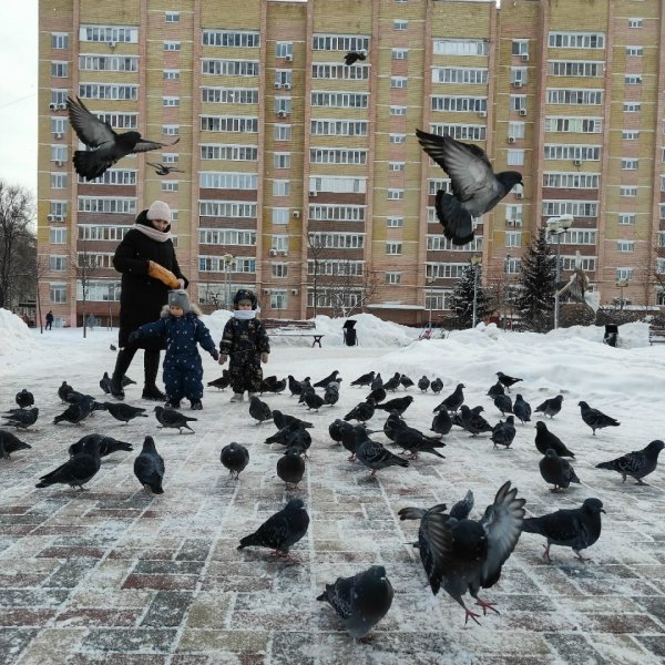 Дошкольников приглашают участвовать в конкурсе кино и мультфильмов &laquo;Мой Тамбов&raquo; 