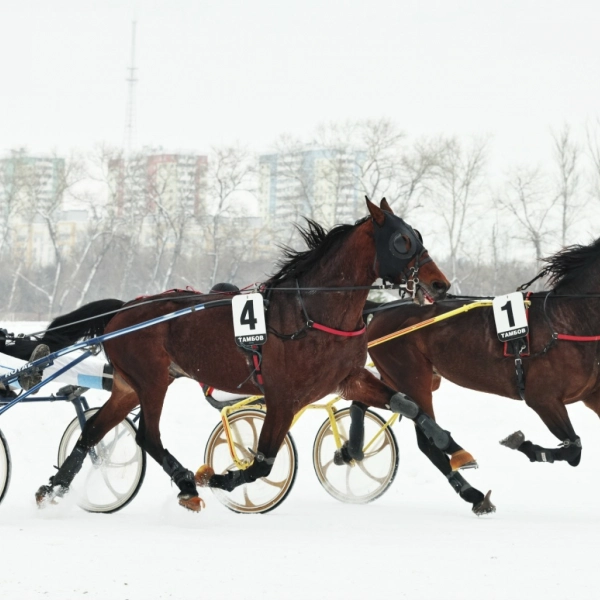 Афиша событий на выходные: что посетить в регионе?