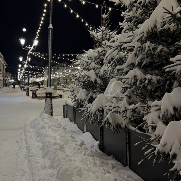 В Тамбовской области отменили занятия в школах 4 и 5 февраля